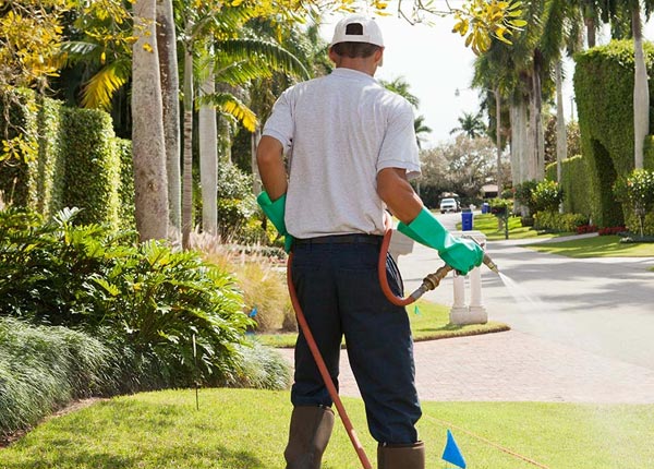 About Lucien OK Pest Control